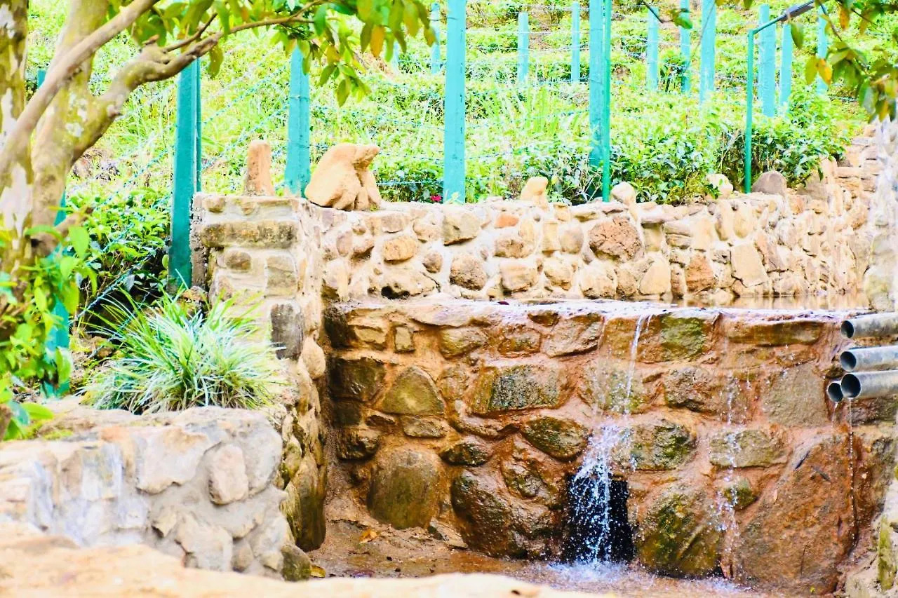 Trinitons River Side Villas Watawala Hotel